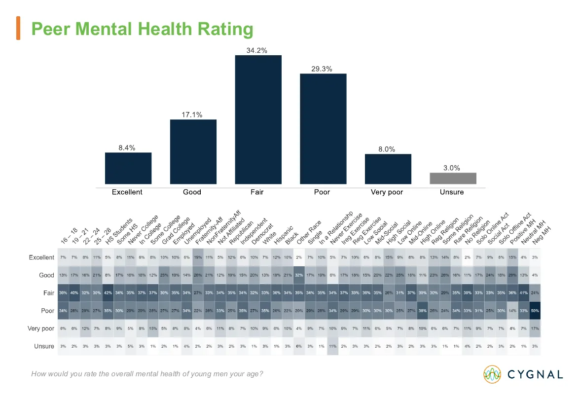 Cygnal deck, page 30: Peer Mental Health Rating